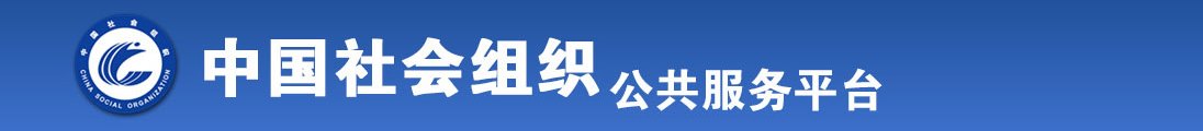 鸡巴插逼逼视频软件全国社会组织信息查询